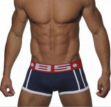 2016 pouplar brand  BS mens boxers cotton sexy men underwear mens underpants male panties shorts U convex pouch for gay