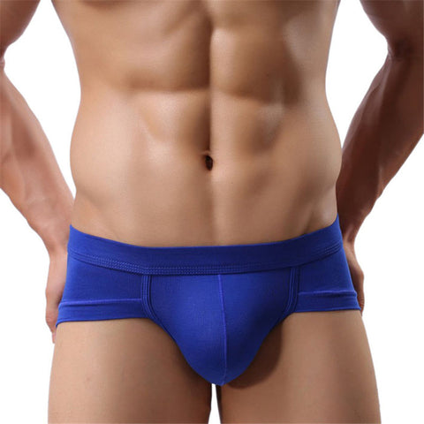 New Trunks Sexy Underwear Men Men's Boxer Shorts Bulge Pouch soft Underpants Sexy Low Waist 5 Colors  High Quality