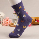 [COAPLACOOL] 5 colors Autumn New sock Animal cartoon cat lovely for women cotton socks