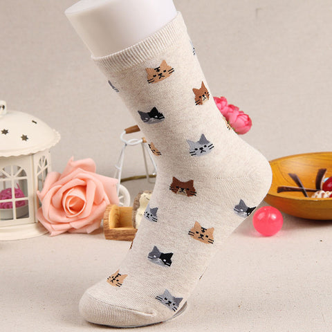 [COAPLACOOL] 5 colors Autumn New sock Animal cartoon cat lovely for women cotton socks