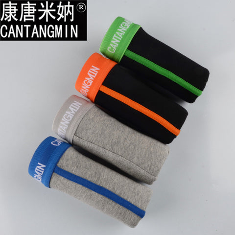 CANTANGMIN brand mens panties advanced fabrics cotton Men underwear comfortable breathable panties trunk shorts boxer 365