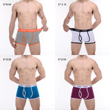 CANTANGMIN brand mens panties advanced fabrics cotton Men underwear comfortable breathable panties trunk shorts boxer 365