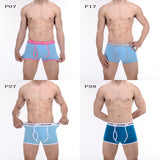 CANTANGMIN Male panties cotton boxers panties comfortable breathable men's panties underwear trunk brand shorts man boxer 365