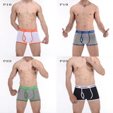 CANTANGMIN Male panties cotton boxers panties comfortable breathable men's panties underwear trunk brand shorts man boxer 365