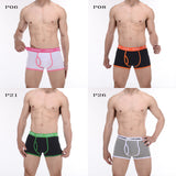 CANTANGMIN Male panties cotton boxers panties comfortable breathable men's panties underwear trunk brand shorts man boxer 365