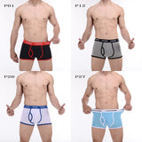 CANTANGMIN Male panties cotton boxers panties comfortable breathable men's panties underwear trunk brand shorts man boxer 365