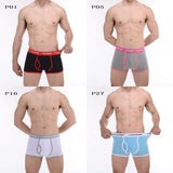 CANTANGMIN Male panties cotton boxers panties comfortable breathable men's panties underwear trunk brand shorts man boxer 365